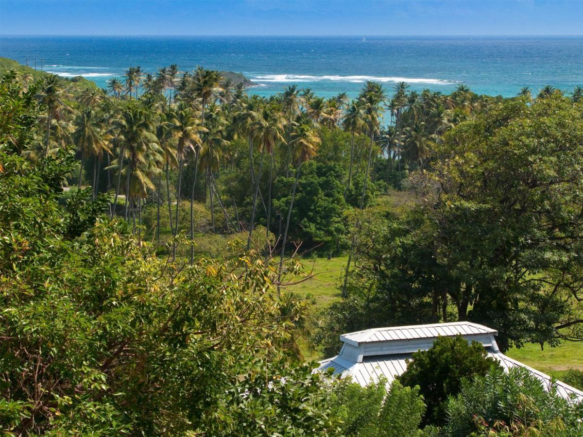 Firefly Estate Bequia Hotel Crescent Beach Luaran gambar
