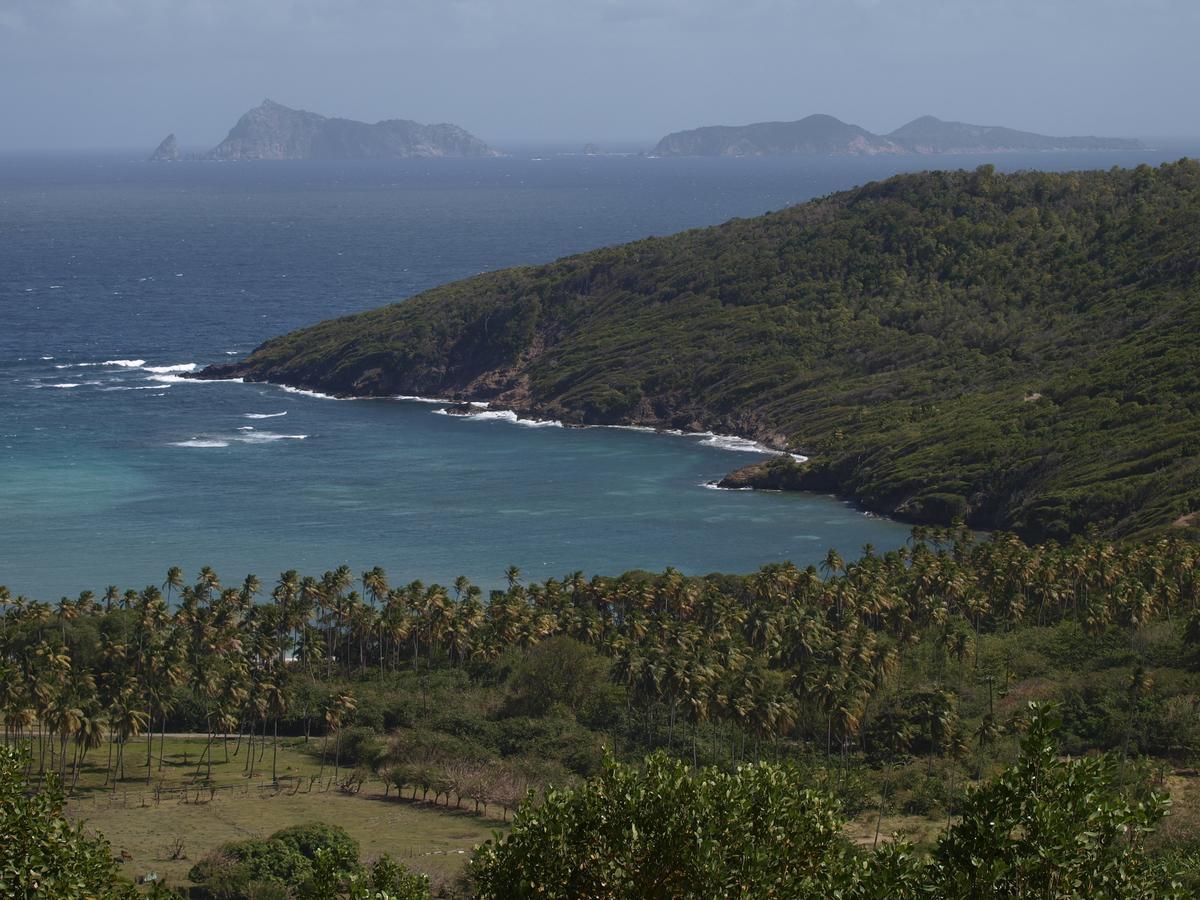 Firefly Estate Bequia Hotel Crescent Beach Luaran gambar