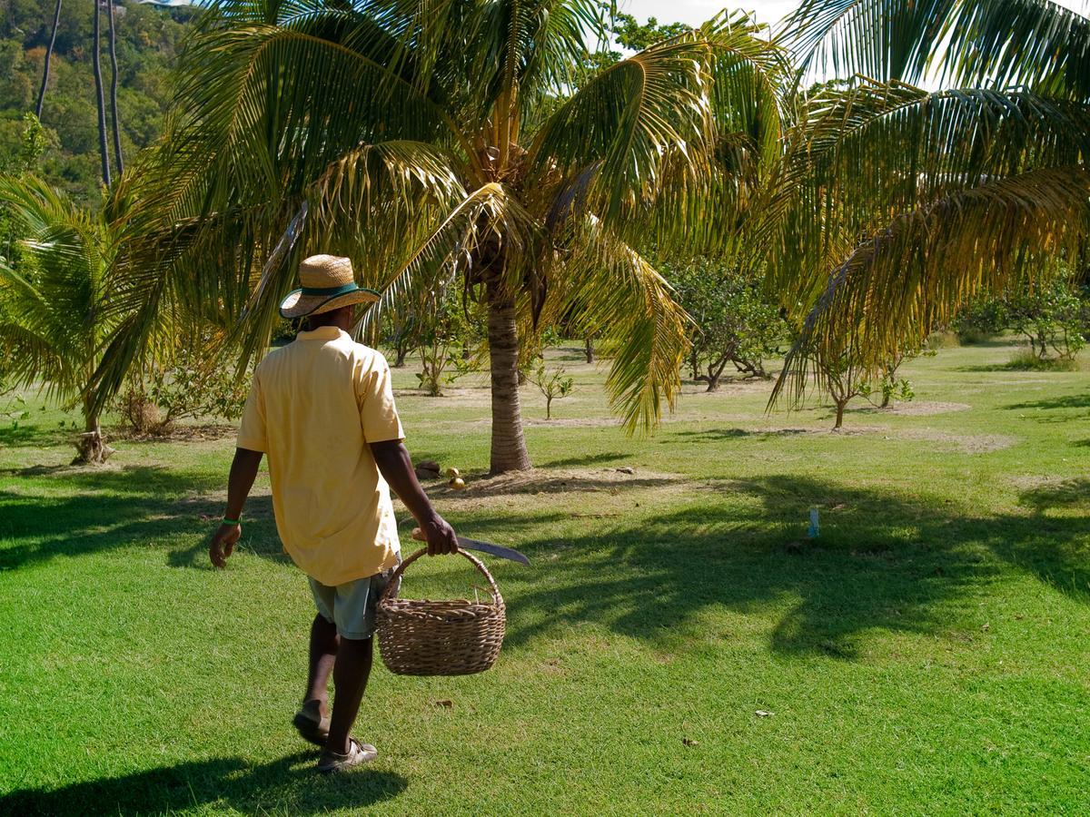 Firefly Estate Bequia Hotel Crescent Beach Luaran gambar