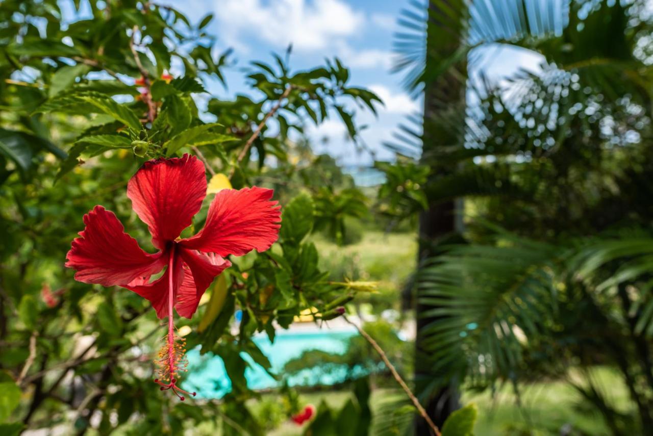 Firefly Estate Bequia Hotel Crescent Beach Luaran gambar