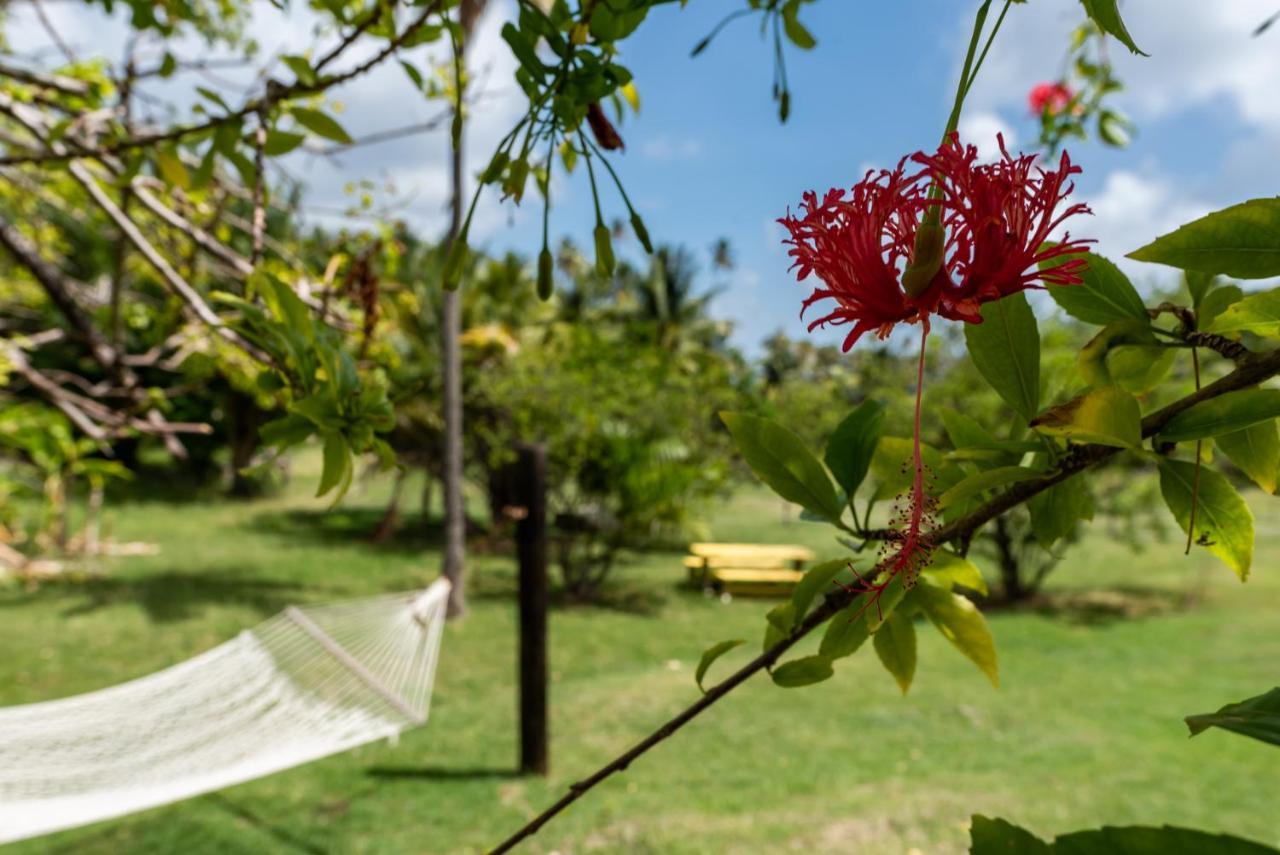 Firefly Estate Bequia Hotel Crescent Beach Luaran gambar